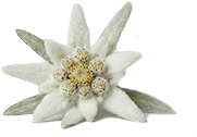 Decorative Flower
